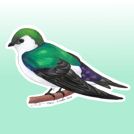 Violet-green Swallow Sticker